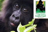 Dian Fossey Gorilla Fund